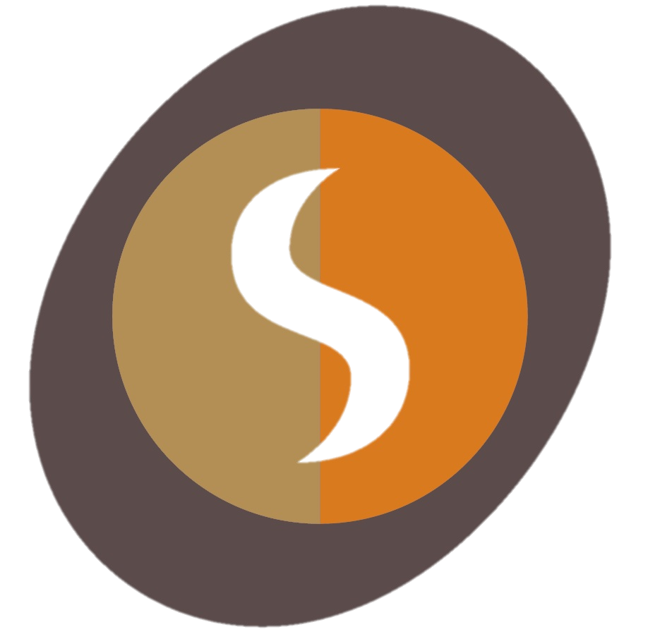 Logo SPIDI.Training for glocal minds