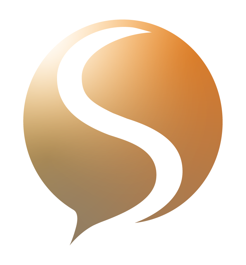 Logo SPIDI.Training for glocal minds